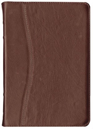 Biblia elegante. Piel especial. Rojo - NVI