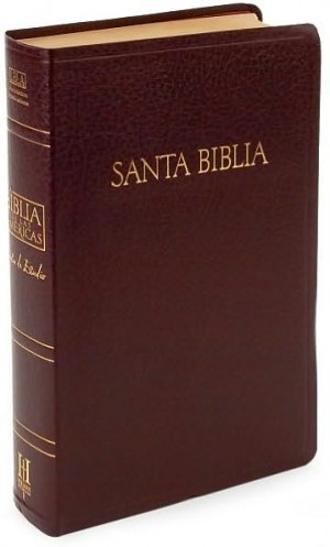 Biblia de estudio. Imitación piel. Rojizo - LBLA