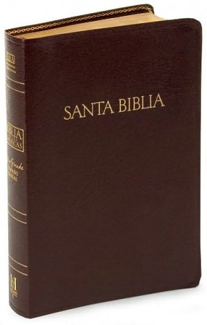 Biblia manual. Letra grande. Piel especial. Rojizo - LBLA