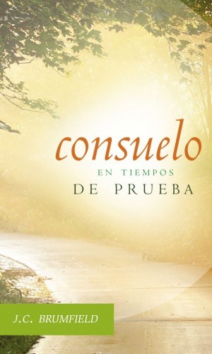 Consuelo en tiempos de prueba