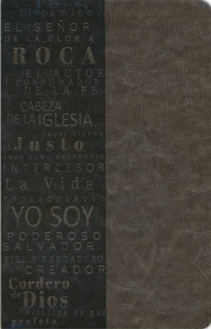 Biblia manual. Letra grande. Edición Nombres de Dios. 2 tonos. Gris - RVR60