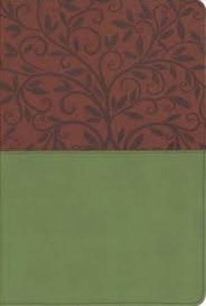 Biblia grande. Letra grande. 2 tonos. Marrón/verde - RVR60