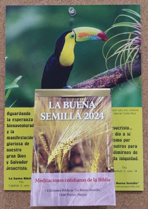 Calendario La Buena Semilla 2024 - Pared