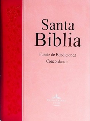 Biblia RVR020cLG. Letra grande. Rústica - RVR60