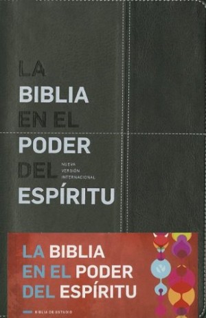 Biblia en el Poder del Espíritu Santo. 2 tonos. Negro/gris - NVI