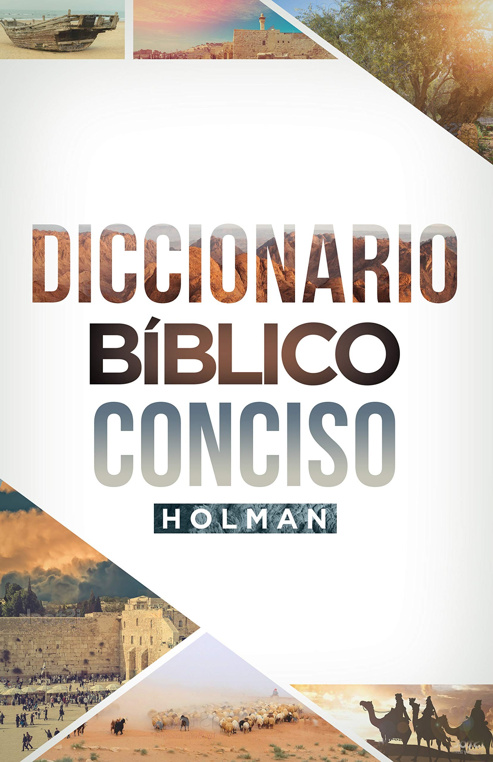 Diccionario bíblico conciso Holman